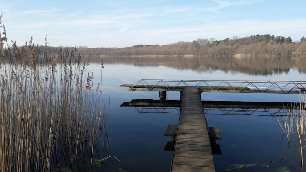 AreaSummer5KM AreaSummer5KM